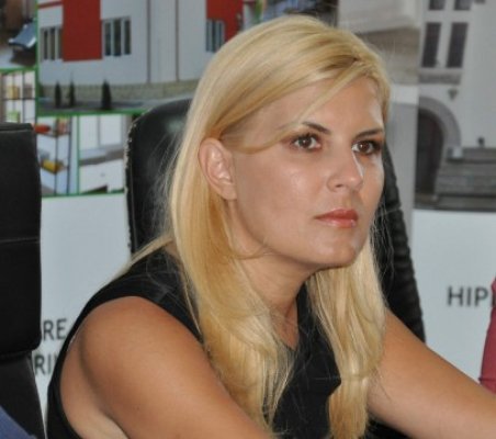 Udrea: Dacă se va înfiinţa un partid al Mişcării Populare, e necesară o colaborare între PDL şi acesta
